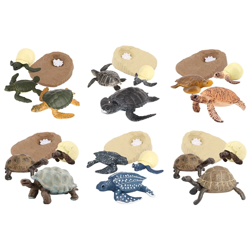 Simulation Turtle Animal Life Cycle,Turtle Animals Growth Cycle Model Animals Growth Cycle Educational Kids Toys
Simulation Turtle Animal Life Cycle,Turtle Animals Growth Cycle Model Animals Growth Cycle Educational Kids Toys