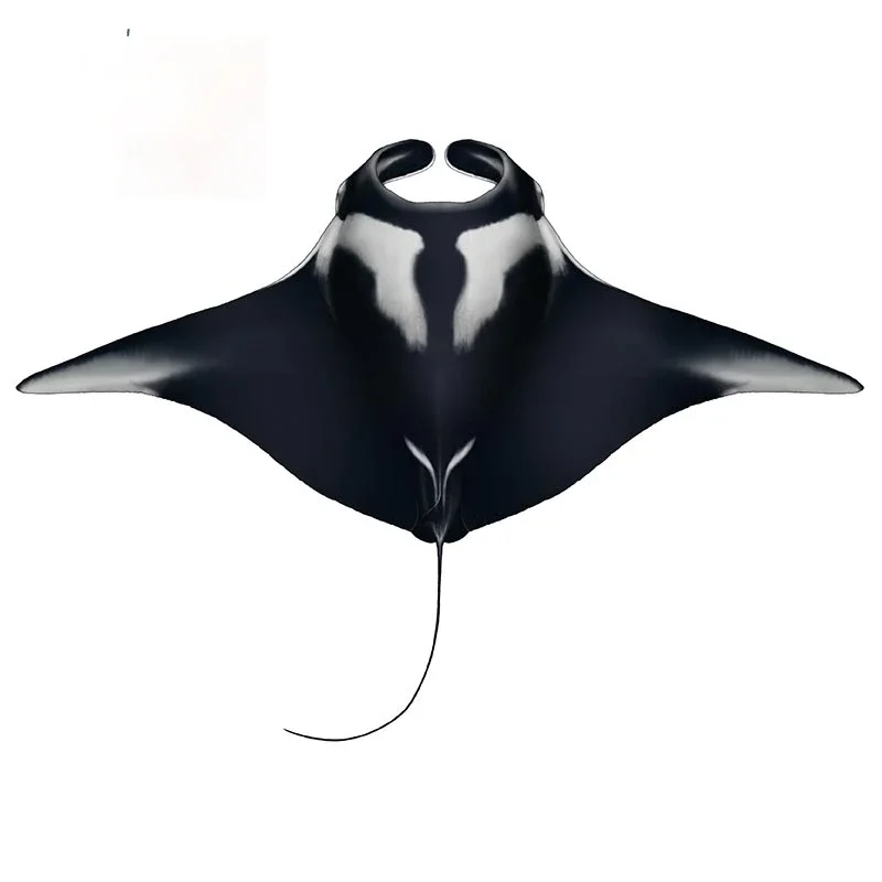 FUYOOHI игровые наклейки забавные автомобильные наклейки для манты лучей наклейки фургон водостойкие DIY винтажный узор ПВХ виниловые автомобильные аксессуары 
FUYOOHI игровые наклейки забавные автомобильные наклейки для манты лучей наклейки фургон водостойкие DIY винтажный узор ПВХ виниловые автомобильные аксессуары