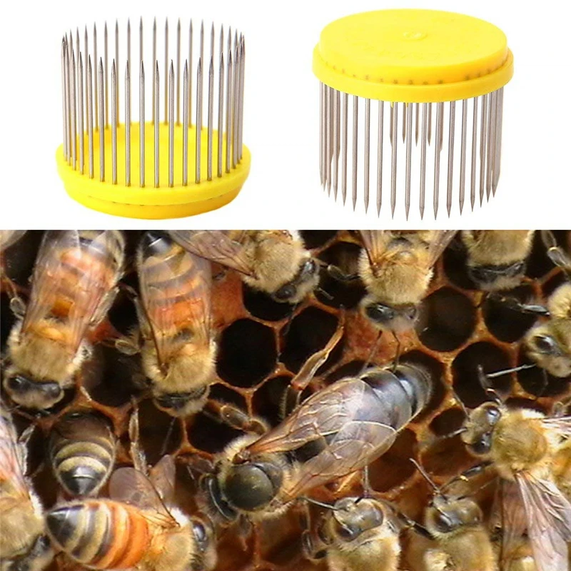 2PCS Stainless Steel Bee Queen Cap For Queen Cage High Quality Beekeeping Tools Beehive Equipment Beekeeper Supplies
2PCS Stainless Steel Bee Queen Cap For Queen Cage High Quality Beekeeping Tools Beehive Equipment Beekeeper Supplies