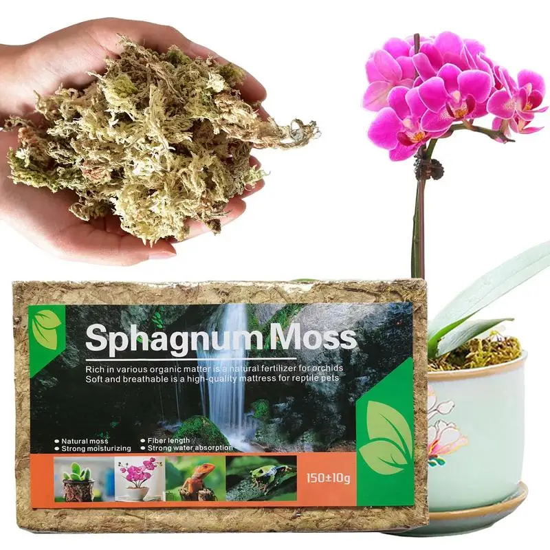 Органический мох Sphagnum, натуральный сухой Террариум, Орхидея Sphagnum для горшечных растений, декоративные принадлежности для горшечных цветов
Органический мох Sphagnum, натуральный сухой Террариум, Орхидея Sphagnum для горшечных растений, декоративные принадлежности для горшечных цветов