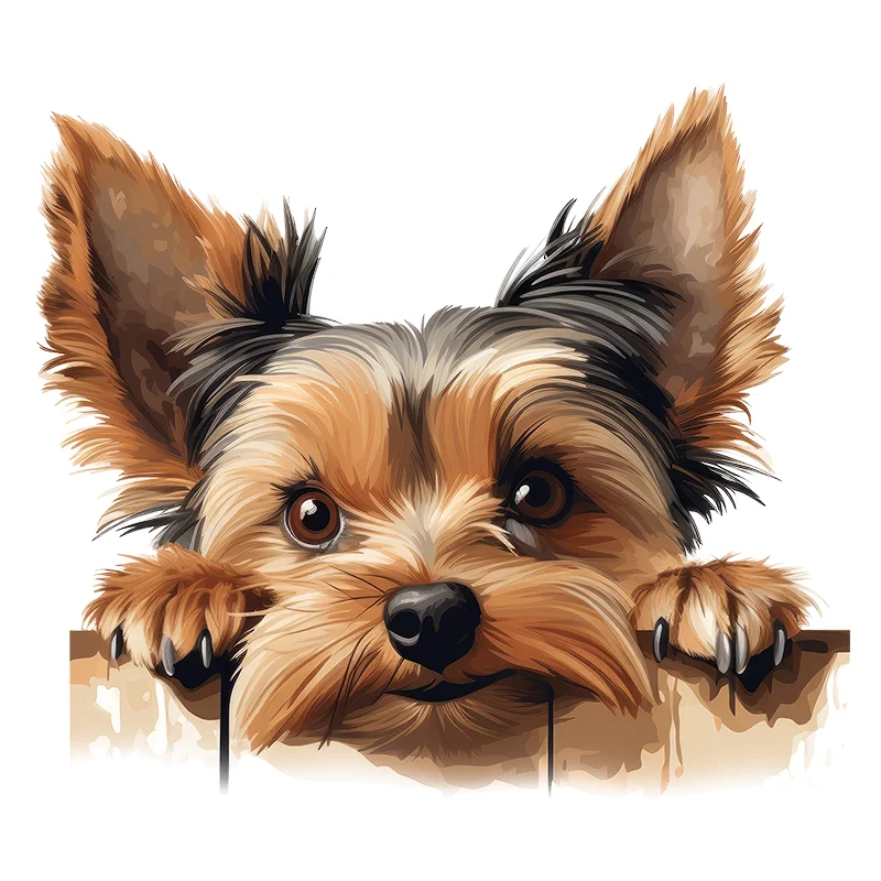 Виниловые наклейки Йоркширский терьер DK125 
Виниловые наклейки Йоркширский терьер DK125