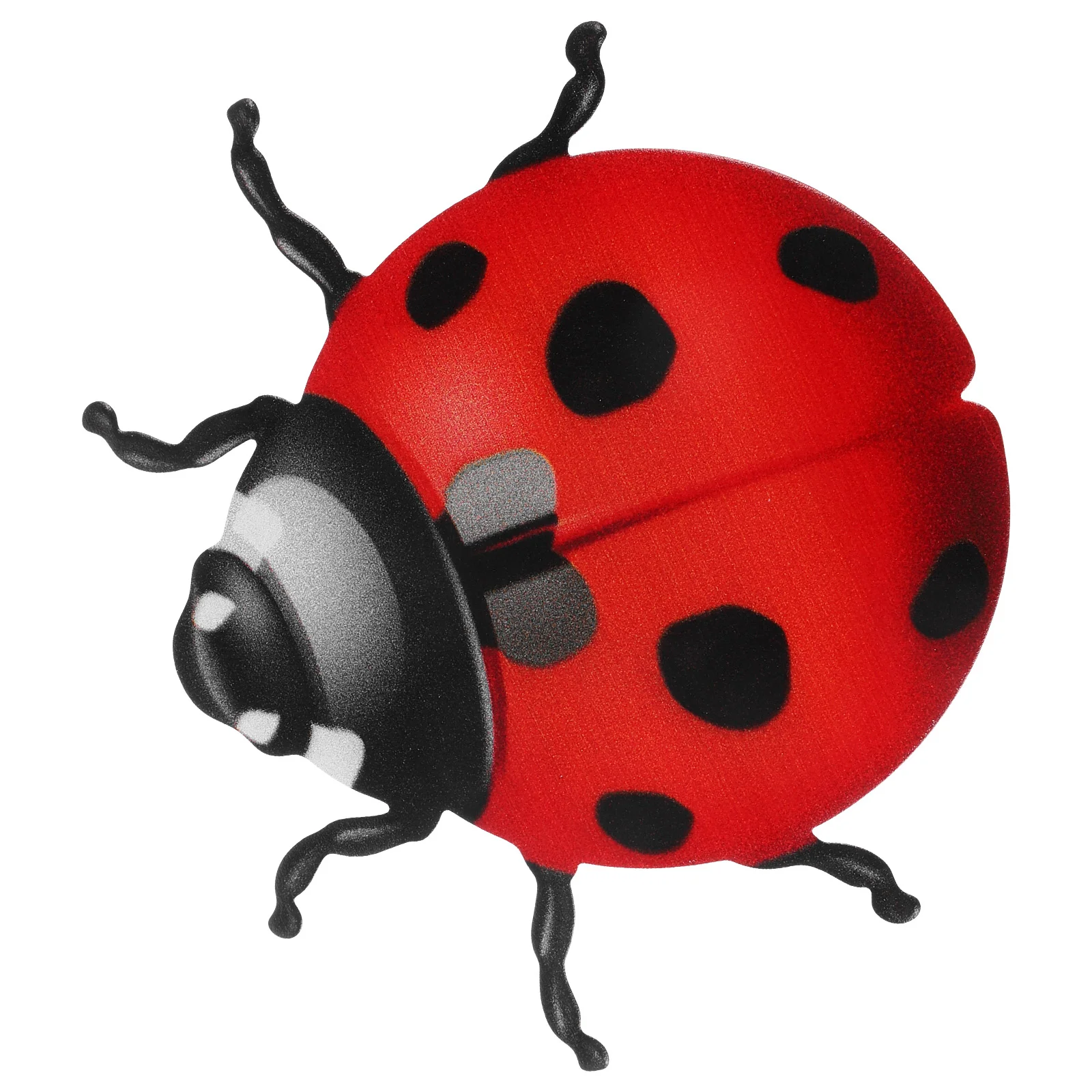 

Iron Beetle Metal Ladybug Decoration Wall Ladybugs Garden Ornament Decorative Pendant Rustic Craft Home