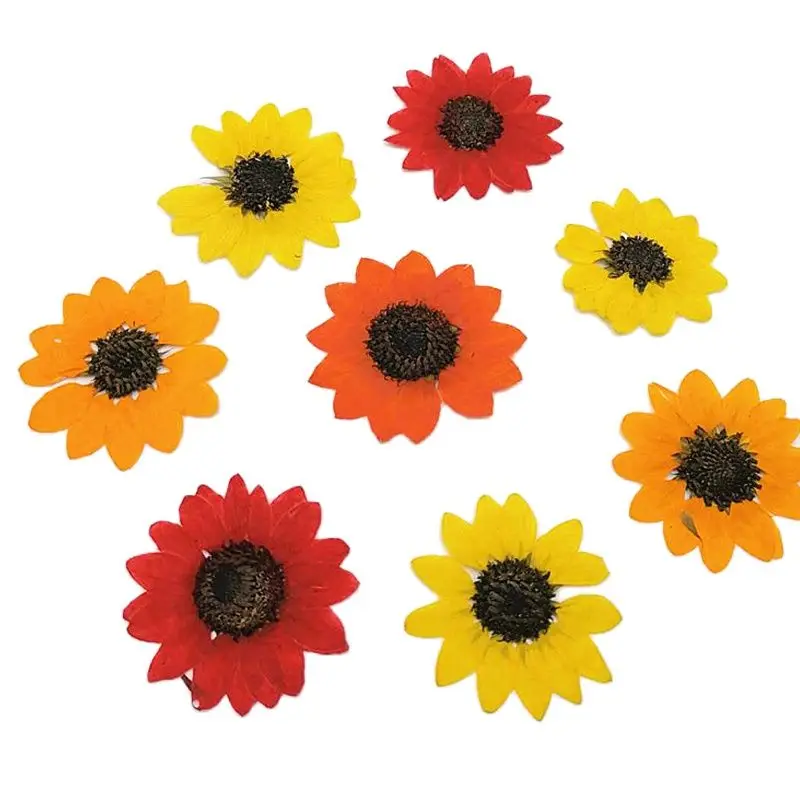 Высушенные прессованные цветы подсолнечника, производители в Китае, бесплатная доставка, 60 шт., оптовая продажа
Высушенные прессованные цветы подсолнечника, производители в Китае, бесплатная доставка, 60 шт., оптовая продажа