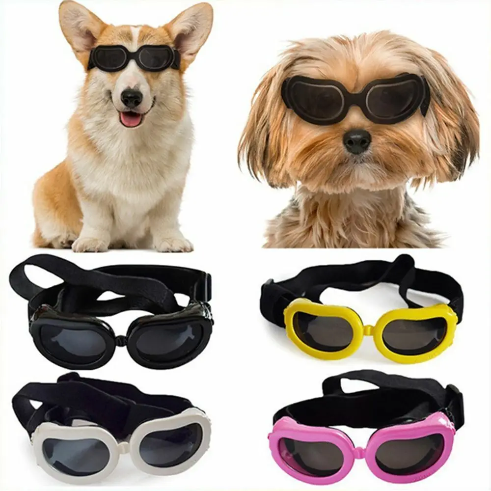 4 Colors Foldable Pet Dog Glasses Medium Large Dog Pet Eyewear Waterproof Dog Protection Goggles UV Sunglasses Pet Supplies
4 Colors Foldable Pet Dog Glasses Medium Large Dog Pet Eyewear Waterproof Dog Protection Goggles UV Sunglasses Pet Supplies