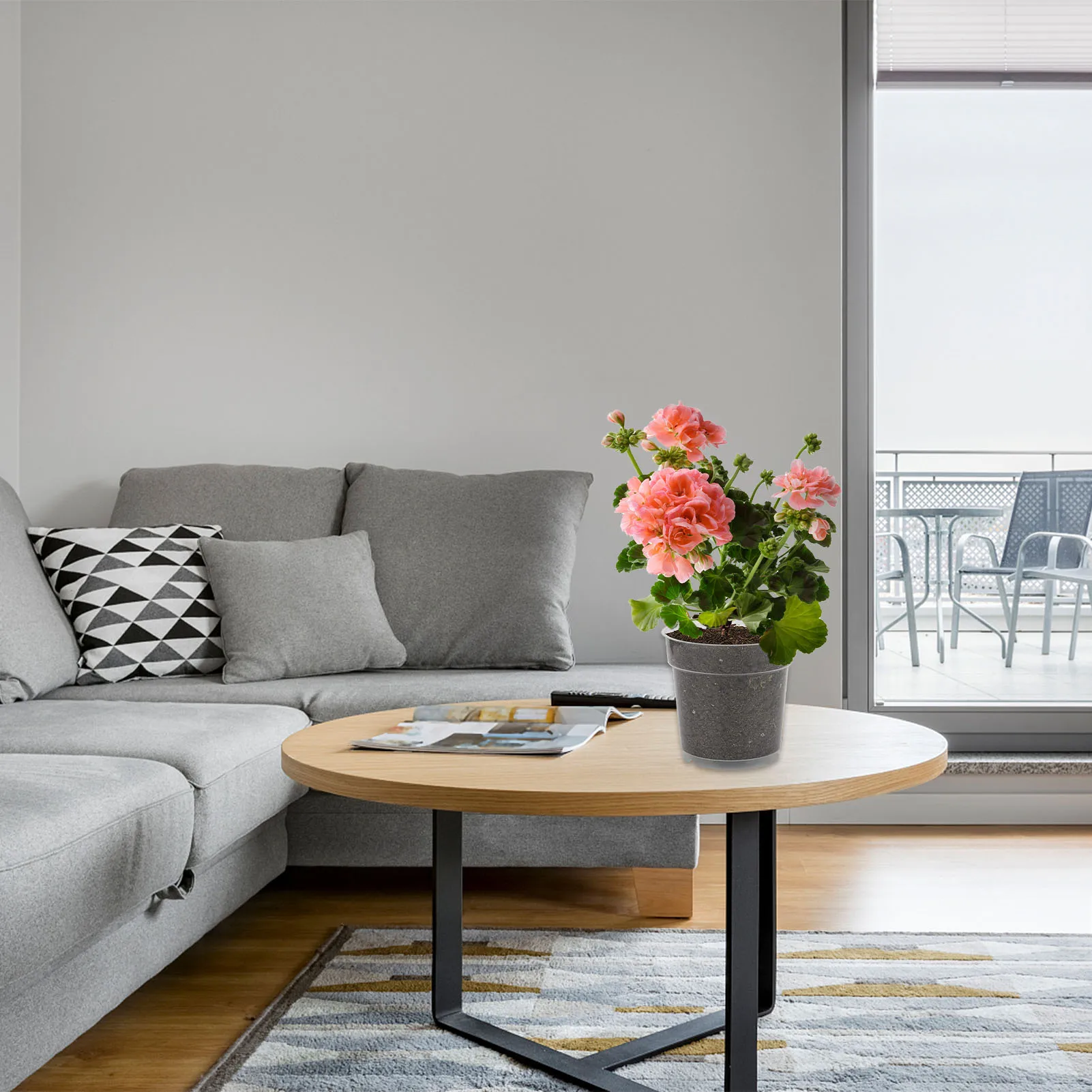 6pcs Clear Nursery Pots Transparent Orchid Pots With Holes Plant Containers With 100 Plant Labels Good Air Flow Seedlings Pots
6pcs Clear Nursery Pots Transparent Orchid Pots With Holes Plant Containers With 100 Plant Labels Good Air Flow Seedlings Pots