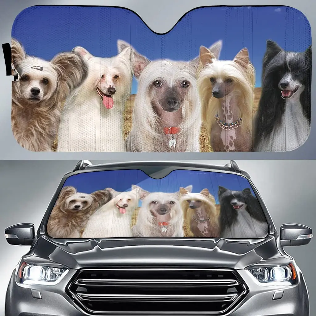 Chinese Crested Team Blue Pattern Car Sunshade, Auto Sunshade for Chinese Crested Dog Car Windshield Durable Auto Visor
Chinese Crested Team Blue Pattern Car Sunshade, Auto Sunshade for Chinese Crested Dog Car Windshield Durable Auto Visor