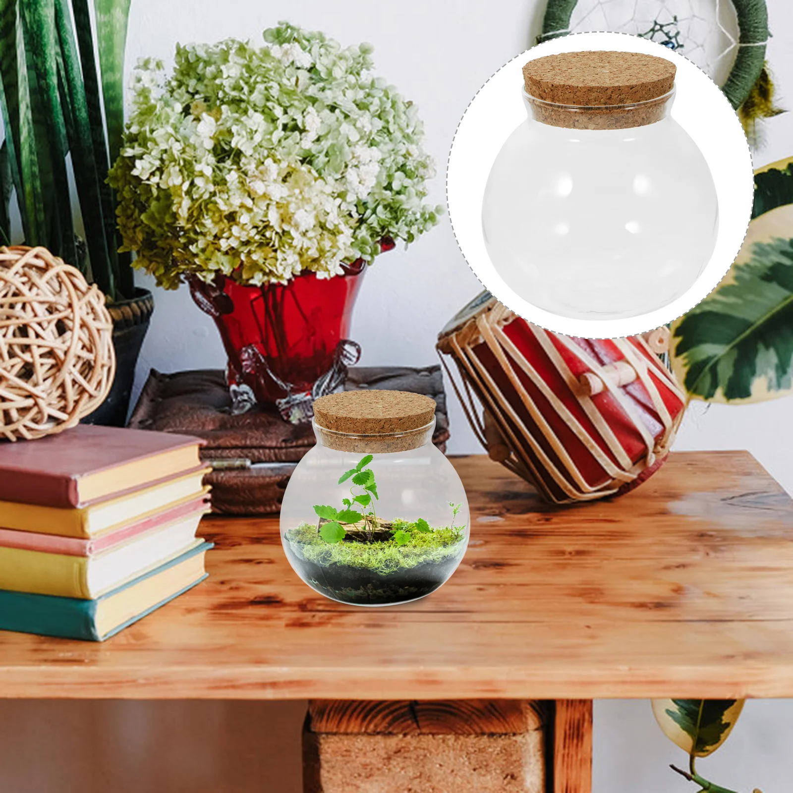 Table Adornment Plants Bottle Decorative Micro Landscaping Container Hydroponic Vase
Table Adornment Plants Bottle Decorative Micro Landscaping Container Hydroponic Vase