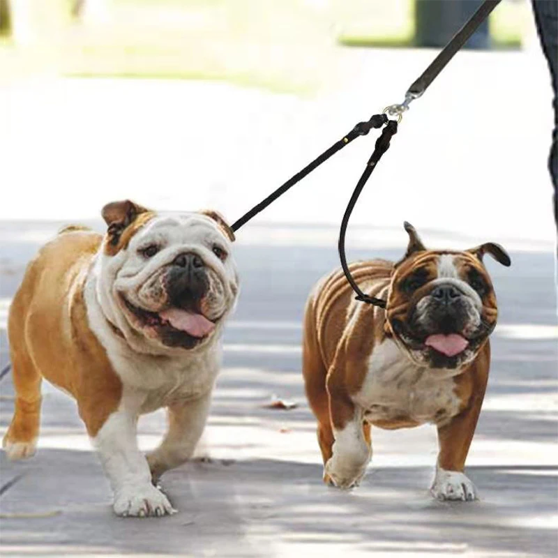 Walking 2 Dogs Leash Brown Real Leather Dog Double Leashes Couple 2 Way Dogs Leashes Pet Couplers Walking Leads For Two Dogs
Walking 2 Dogs Leash Brown Real Leather Dog Double Leashes Couple 2 Way Dogs Leashes Pet Couplers Walking Leads For Two Dogs