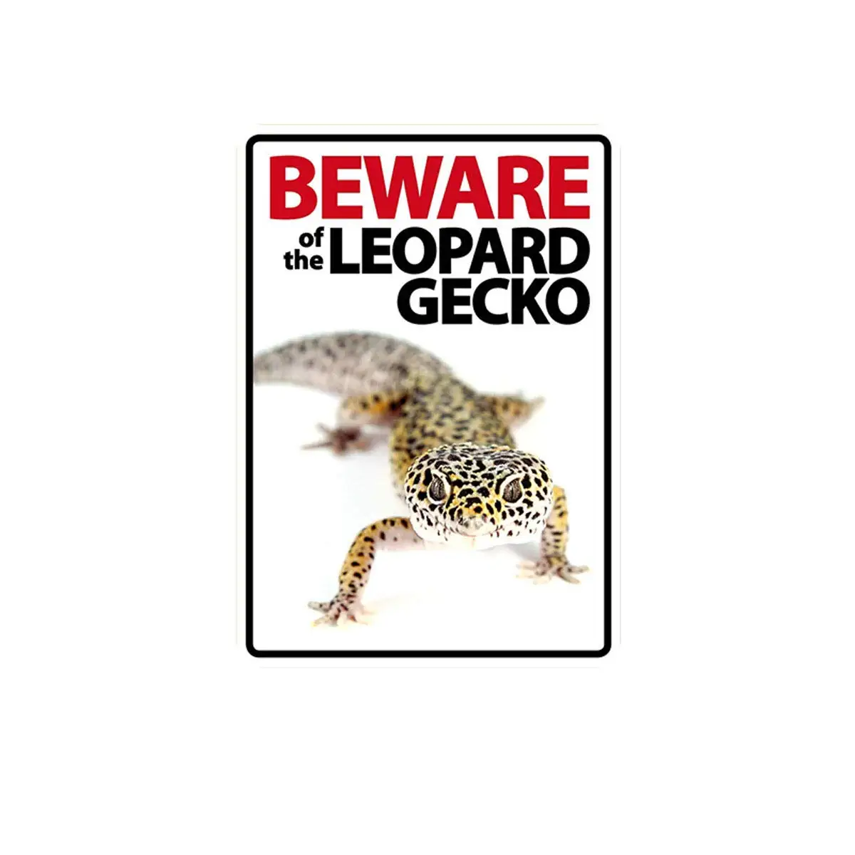Metal Vintage Tin Sign Decor- Animals Beware of the Rabbit for Yard House Garage Home Bar Pub Shop Retro Wall Art Sign 12"
Metal Vintage Tin Sign Decor- Animals Beware of the Rabbit for Yard House Garage Home Bar Pub Shop Retro Wall Art Sign 12"