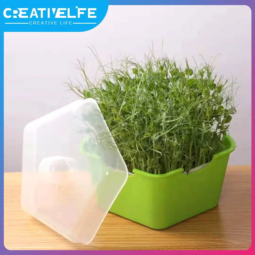 Health And Environmental Protection Plastic Tray For Peanut And Garlic Seedling Cultivation Safe Materials Mould Proof Dampproof
Health And Environmental Protection Plastic Tray For Peanut And Garlic Seedling Cultivation Safe Materials Mould Proof Dampproof