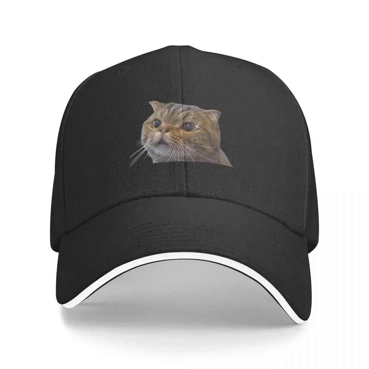 Забавная Милая бейсболка Lulu the cat регулируемая шапка для папы |-F-| Мужские женские