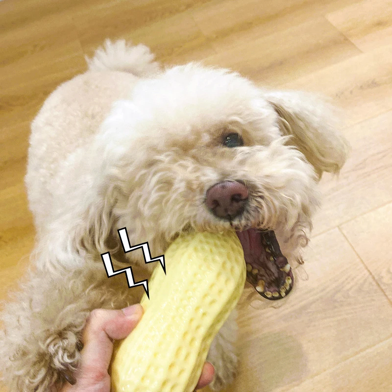 Rubber Dog Squeak Toy Toy Molar Peanut-shaped Dog Chew Toy Suitable for Large and Medium-sized Puppies Safe Pet Supplies 
Rubber Dog Squeak Toy Toy Molar Peanut-shaped Dog Chew Toy Suitable for Large and Medium-sized Puppies Safe Pet Supplies