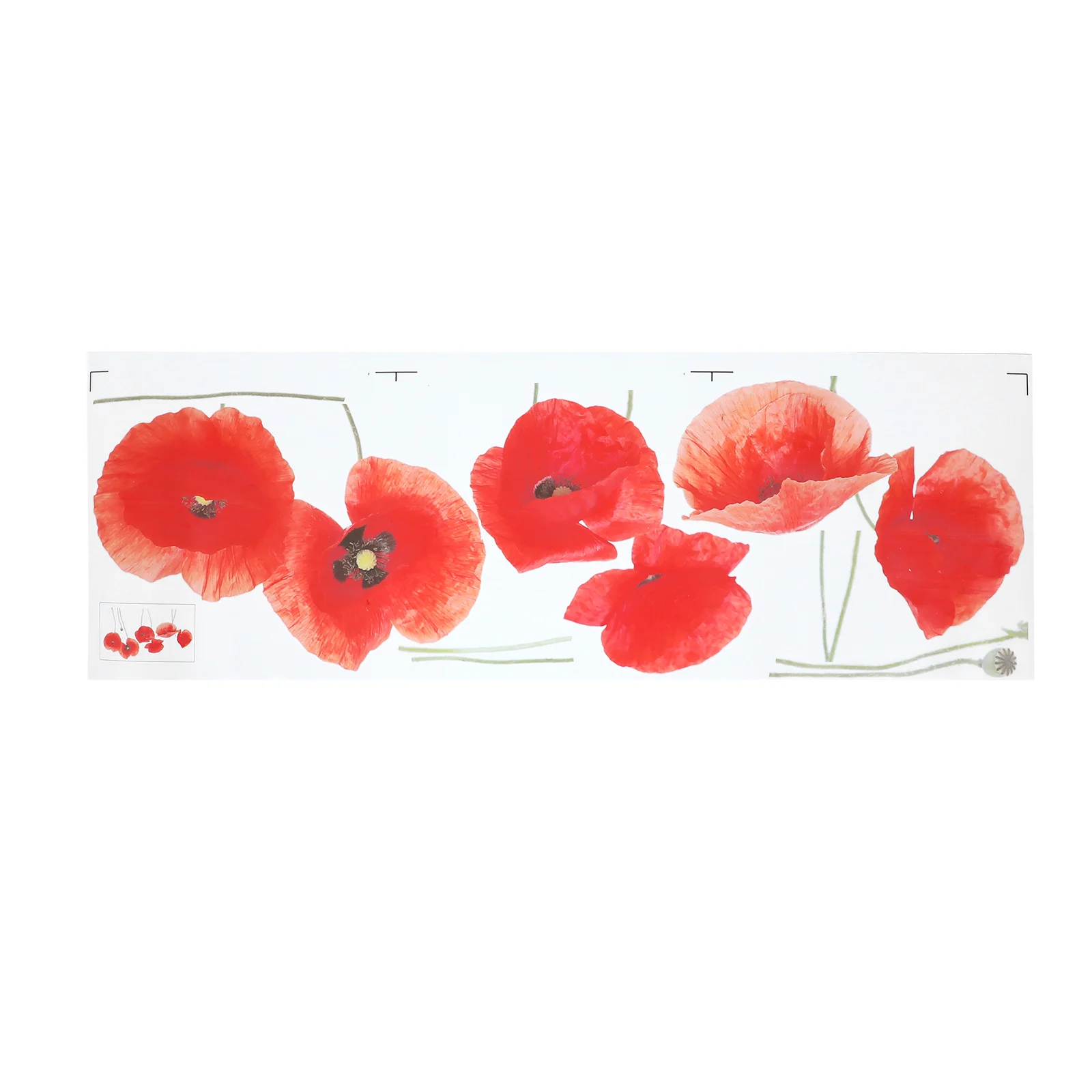 Home Decoration Living Room Wall Stickers Décor Decal Floral Flower Decorate Poppies
Home Decoration Living Room Wall Stickers Décor Decal Floral Flower Decorate Poppies