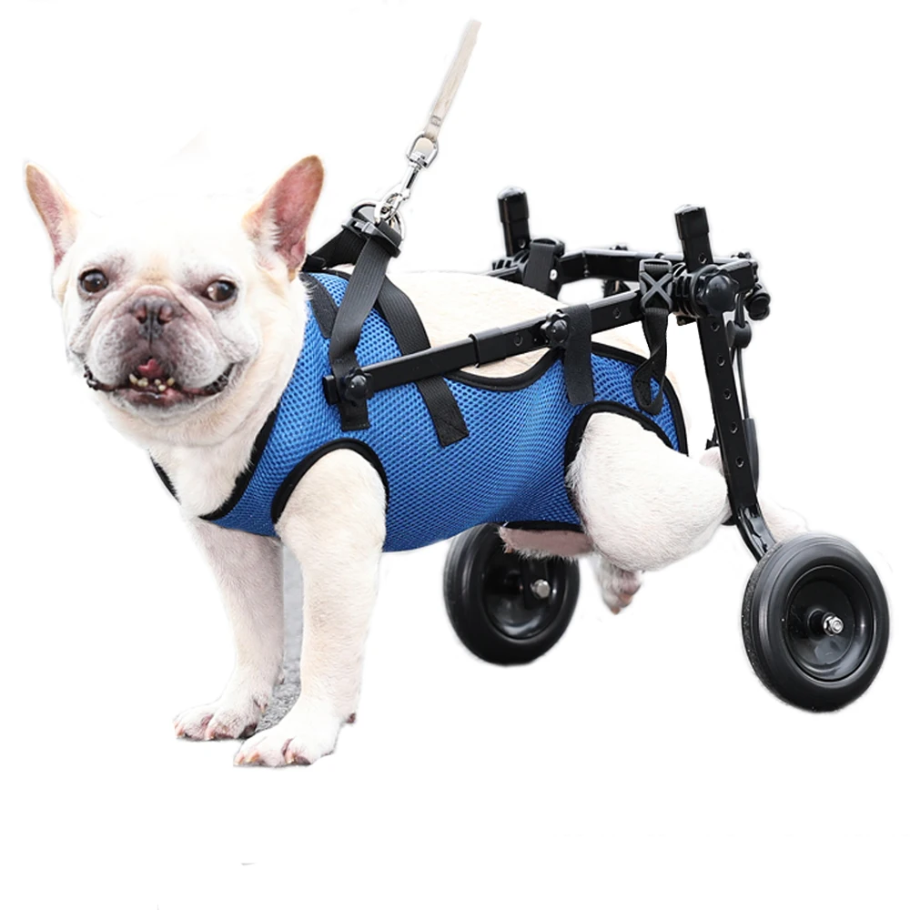 Wheelchair for Small Dogs Adjustable Shock Absorbing Silent Dog Wheelchair for Back Leg Disabled Old Dog Rehabilitation Training
Wheelchair for Small Dogs Adjustable Shock Absorbing Silent Dog Wheelchair for Back Leg Disabled Old Dog Rehabilitation Training