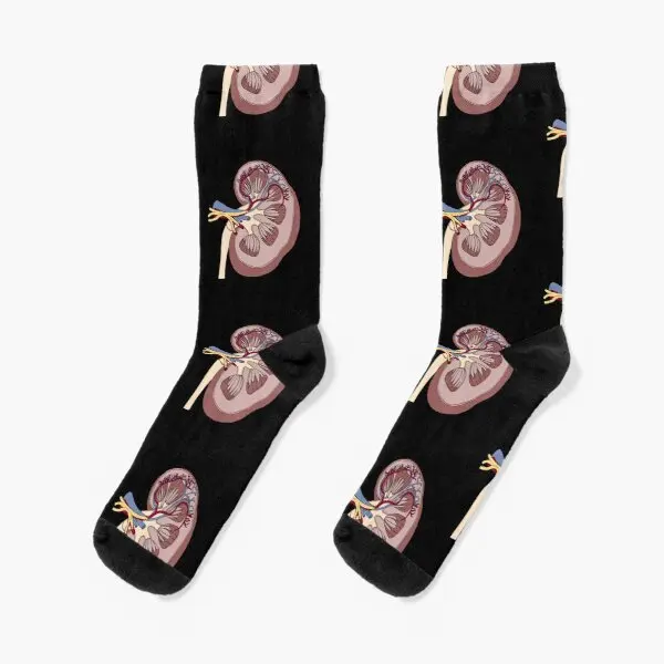 Kidney Anatomy Crew Socks Black Cartoon Mens Pattern Sports Cotton Breathable Girls Autumn Winter Unisex Funny Ladies Best Cute
Kidney Anatomy Crew Socks Black Cartoon Mens Pattern Sports Cotton Breathable Girls Autumn Winter Unisex Funny Ladies Best Cute