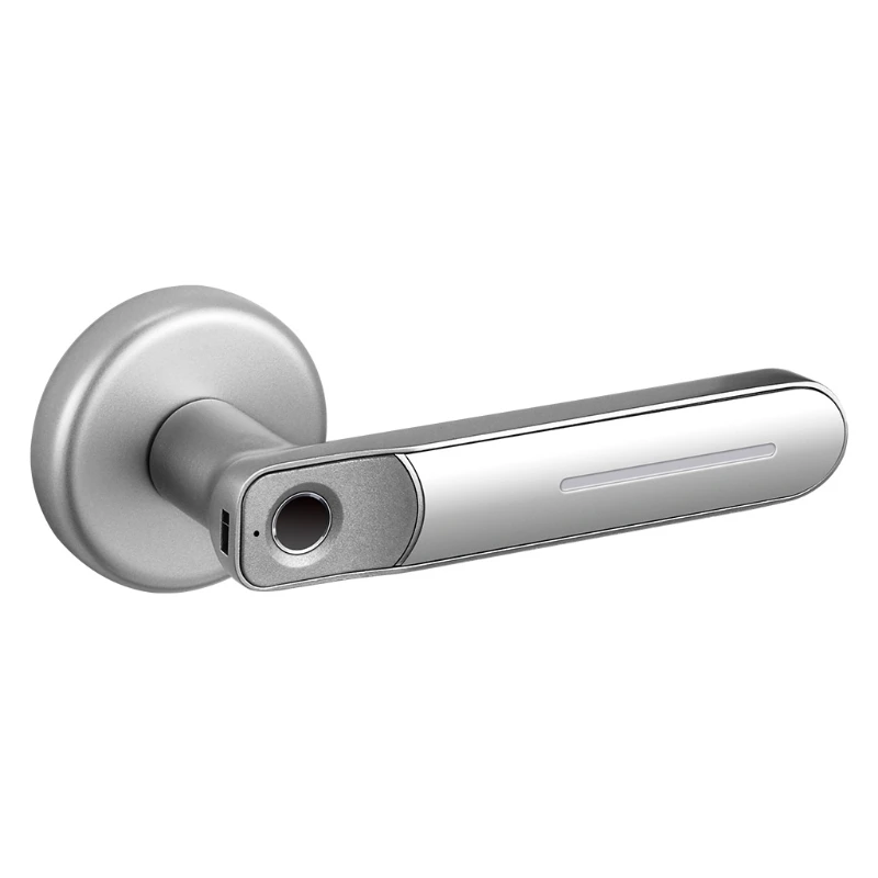 Keyless Entry Door Safe Biometric Digital Auto-Lock Handle for Office Apartment Fingerprint Door Lock
Keyless Entry Door Safe Biometric Digital Auto-Lock Handle for Office Apartment Fingerprint Door Lock