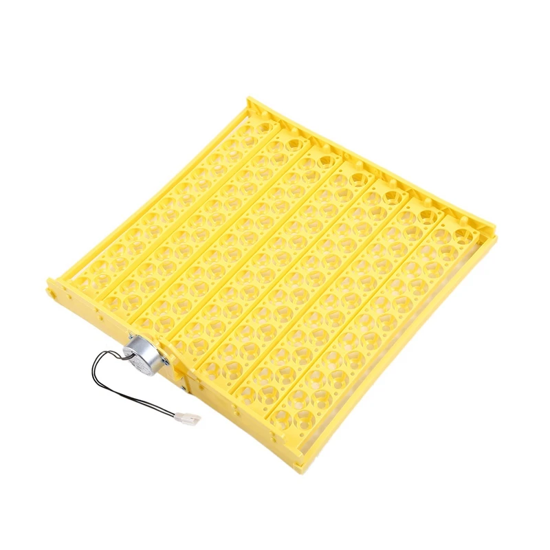 154 Eggs Quail Parrot Pigeon Small Bird Snake Hatcher Automatic Turn Incubator Trays 220V Turning Motors Farm Poultry Hatching D
154 Eggs Quail Parrot Pigeon Small Bird Snake Hatcher Automatic Turn Incubator Trays 220V Turning Motors Farm Poultry Hatching D