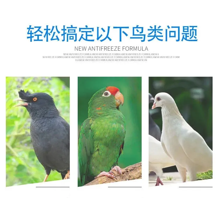 Parrot Automatic Water Feeder Plastic Pigeon Quail Bird Sink Water Bottle Thickened Cleaning Double Port Drinking Waterdispenser
Parrot Automatic Water Feeder Plastic Pigeon Quail Bird Sink Water Bottle Thickened Cleaning Double Port Drinking Waterdispenser