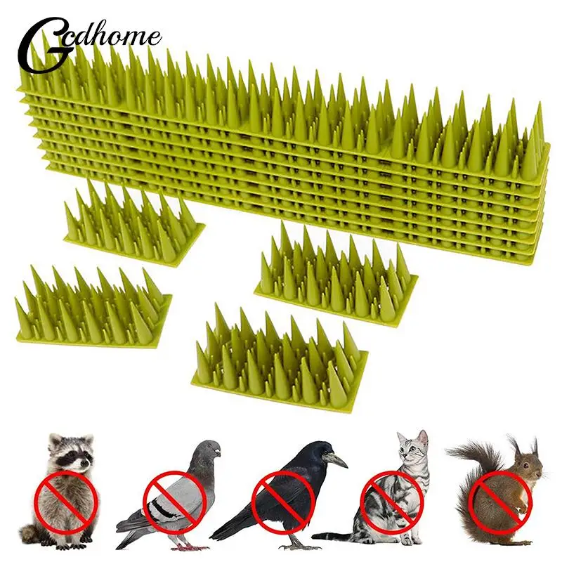 Bird Repellent Garden Fence Wall Spikes Anti-bird Thorn Practical Deterrent Anti-theft Fencing Anti Cat Invasion Garden Net
Bird Repellent Garden Fence Wall Spikes Anti-bird Thorn Practical Deterrent Anti-theft Fencing Anti Cat Invasion Garden Net