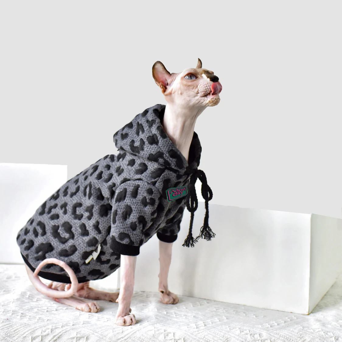 DUOMASUMI Retro Cotton Camouflage Sweater Warm Autumn and Winter Hairless Cat Clothes Devon,Cornish Peterbald Sphynx Cat Clothes
DUOMASUMI Retro Cotton Camouflage Sweater Warm Autumn and Winter Hairless Cat Clothes Devon,Cornish Peterbald Sphynx Cat Clothes