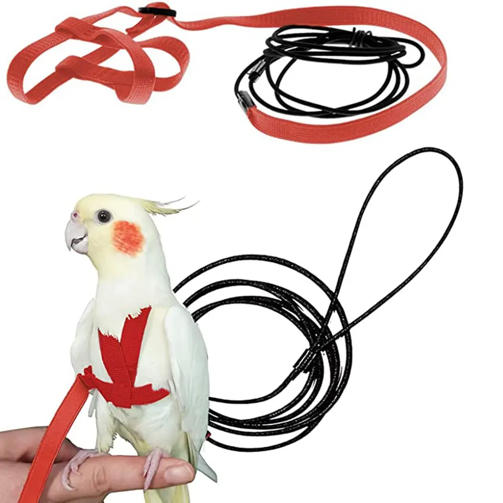 

Adjustable Parrot Bird Harness Leash Outdoor Flying Traction Straps Band Anti-Bite Training Rope Nylon Rope Outdoor Activities