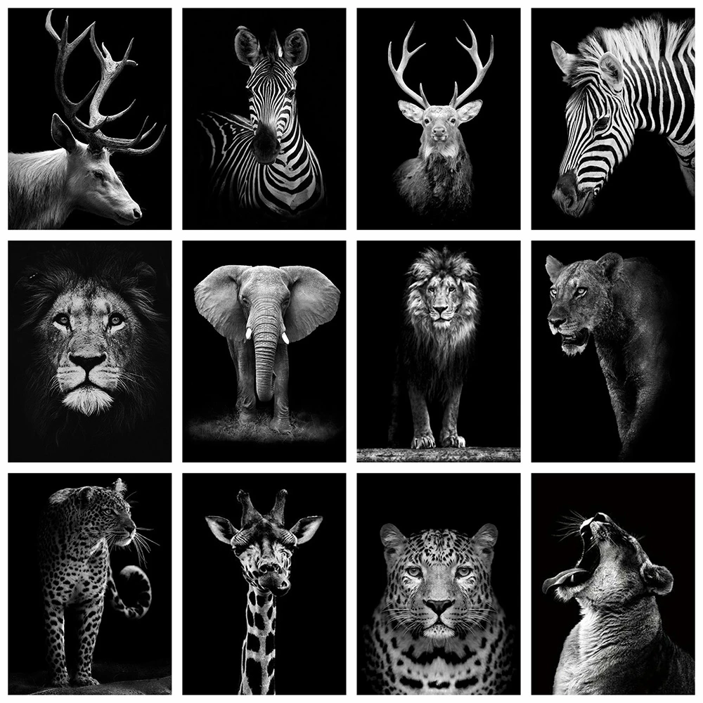 Full Square Diamond Painting Diamond Mosaic Art Cross Stitch Animal 5d Diamond Embroidery Crafts Set Home Decoration Painting
Full Square Diamond Painting Diamond Mosaic Art Cross Stitch Animal 5d Diamond Embroidery Crafts Set Home Decoration Painting