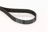 CT1028 for timing belt PASSAT YM 130HP TDI GOLF IV POLO 1.4tdi GOLF IV 1,9 TDI
CT1028 for timing belt PASSAT YM 130HP TDI GOLF IV POLO 1.4tdi GOLF IV 1,9 TDI