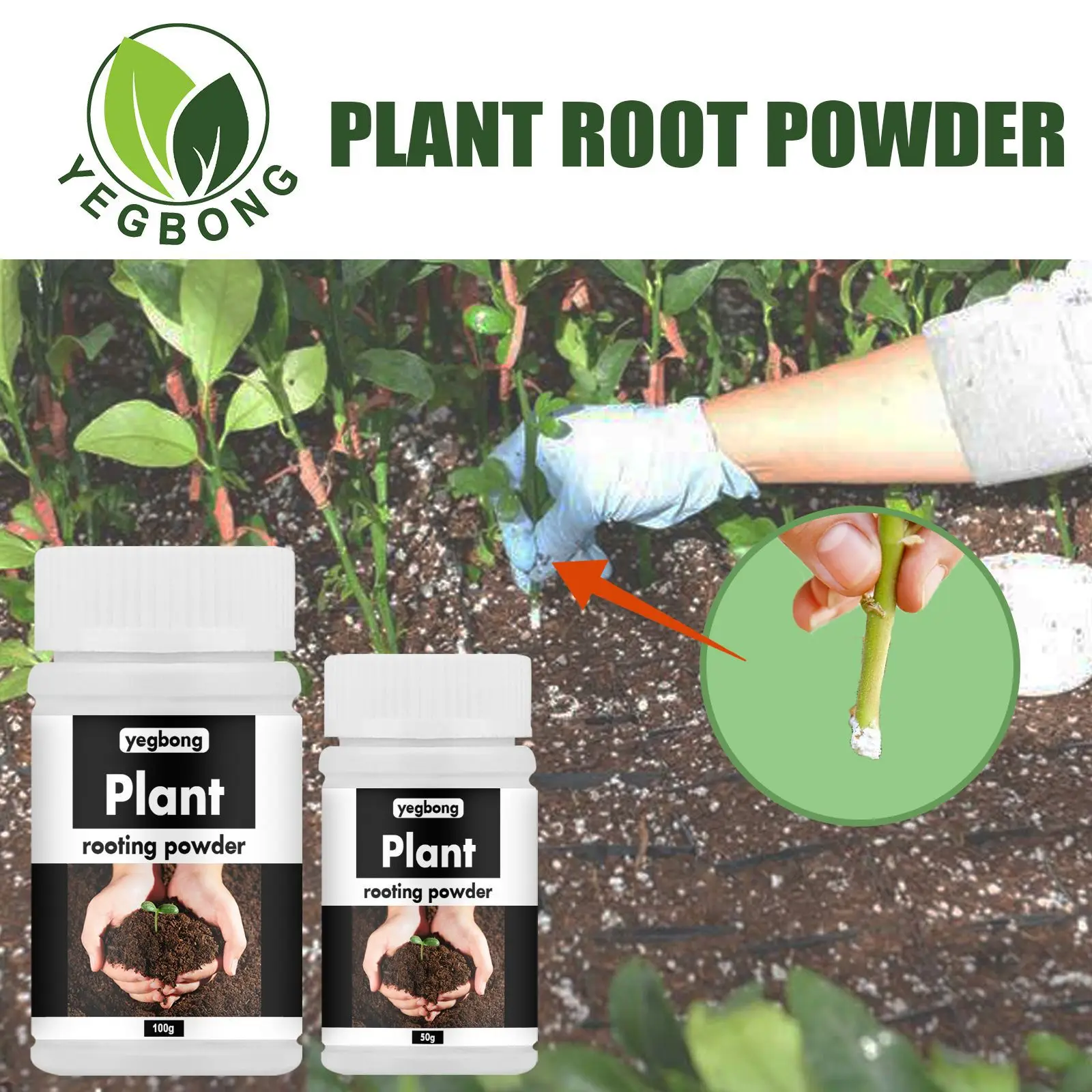 Free Shipping Rooting Powder Cuttings With Plant Hair Root Universal Transplanting Tree Seedling Fruit Tree Garden
Free Shipping Rooting Powder Cuttings With Plant Hair Root Universal Transplanting Tree Seedling Fruit Tree Garden