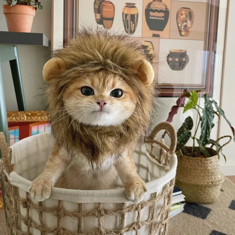 Cute Lion Mane Cat Wig Hat for Dogs and Cat Small Dog Pet Cat Decor Accessories Lion Wig Fancy Hair Cap Pet Supplies
Cute Lion Mane Cat Wig Hat for Dogs and Cat Small Dog Pet Cat Decor Accessories Lion Wig Fancy Hair Cap Pet Supplies
