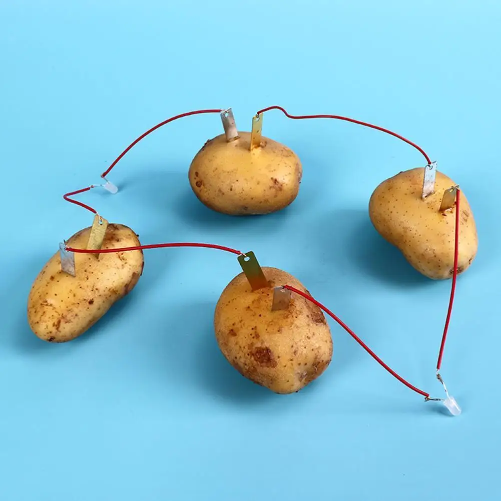 Bio Energy Science Kit Potato Fruit Supply Electricity Experiments Kids Children Student Learning Science Educational Toy
Bio Energy Science Kit Potato Fruit Supply Electricity Experiments Kids Children Student Learning Science Educational Toy