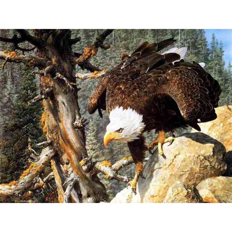 Алмазная живопись с изображением американского Белого Орла 5d, мозаика «сделай сам», полная выкладка, алмазная вышивка, картины
Алмазная живопись с изображением американского Белого Орла 5d, мозаика «сделай сам», полная выкладка, алмазная вышивка, картины