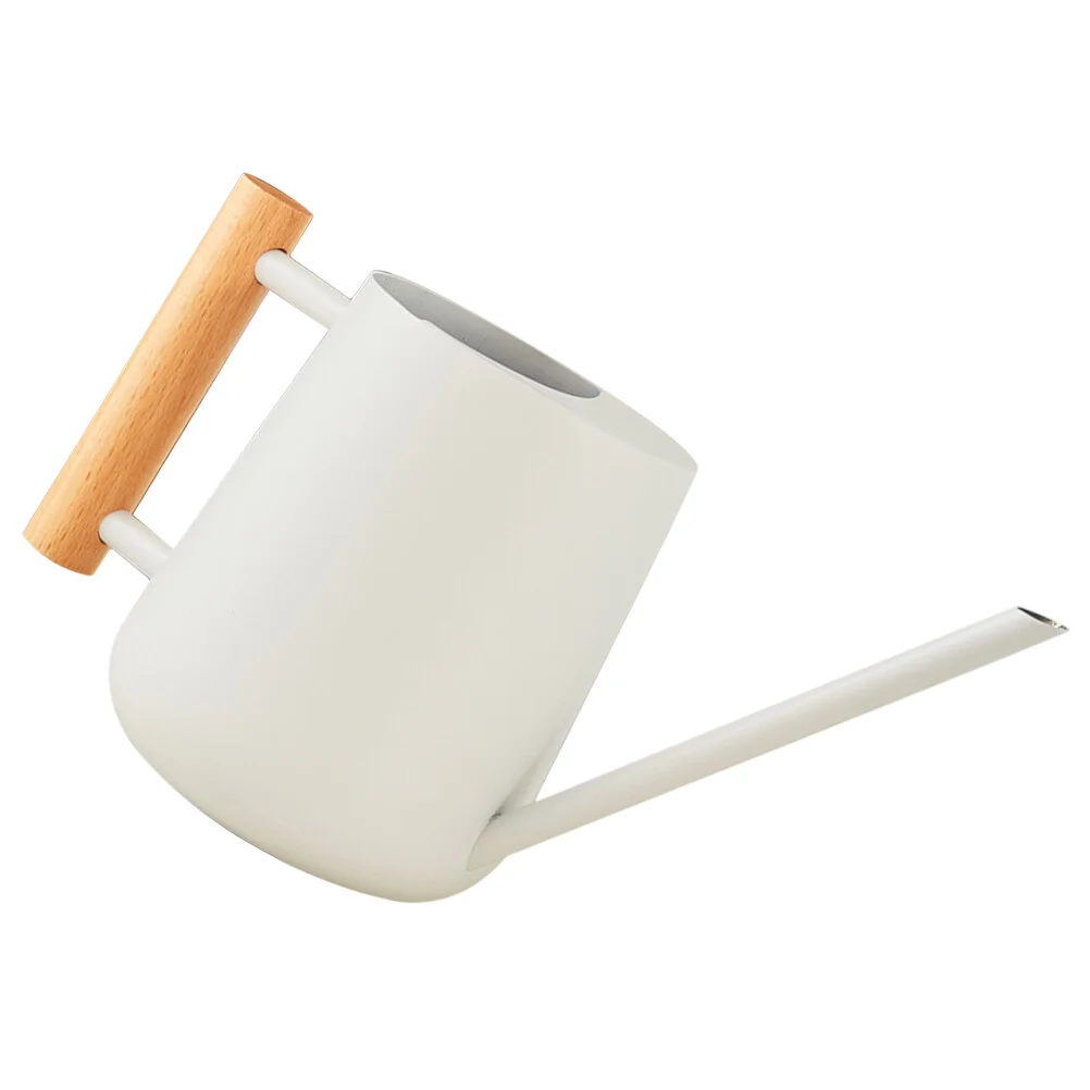 Small Watering Can Indoor Plants Accessories Misters Pots Flowers Succulent Houseplants
Small Watering Can Indoor Plants Accessories Misters Pots Flowers Succulent Houseplants