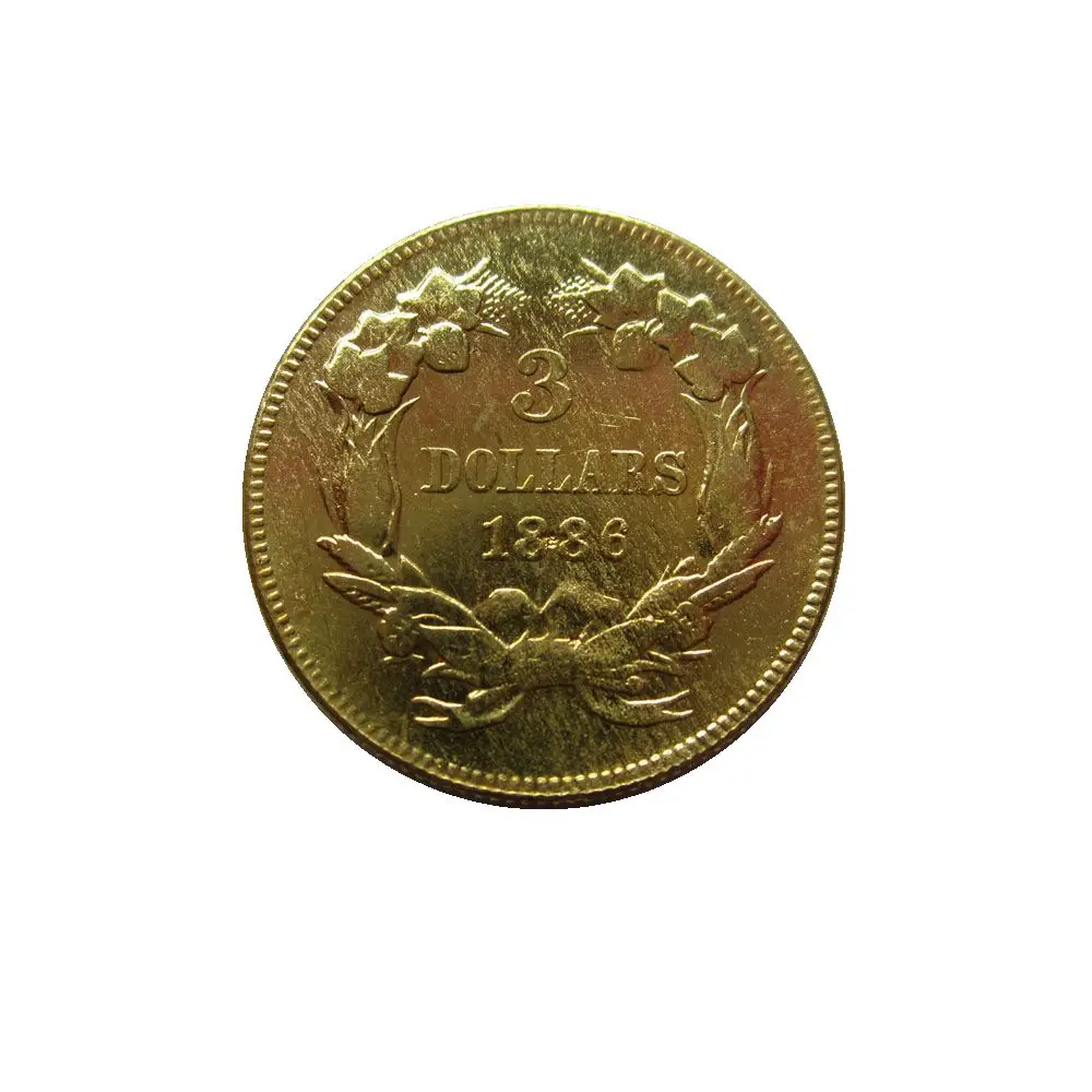 Копия монеты с большой головой индийской принцессы с золотым покрытием, 1886 долларов, 3
Копия монеты с большой головой индийской принцессы с золотым покрытием, 1886 долларов, 3