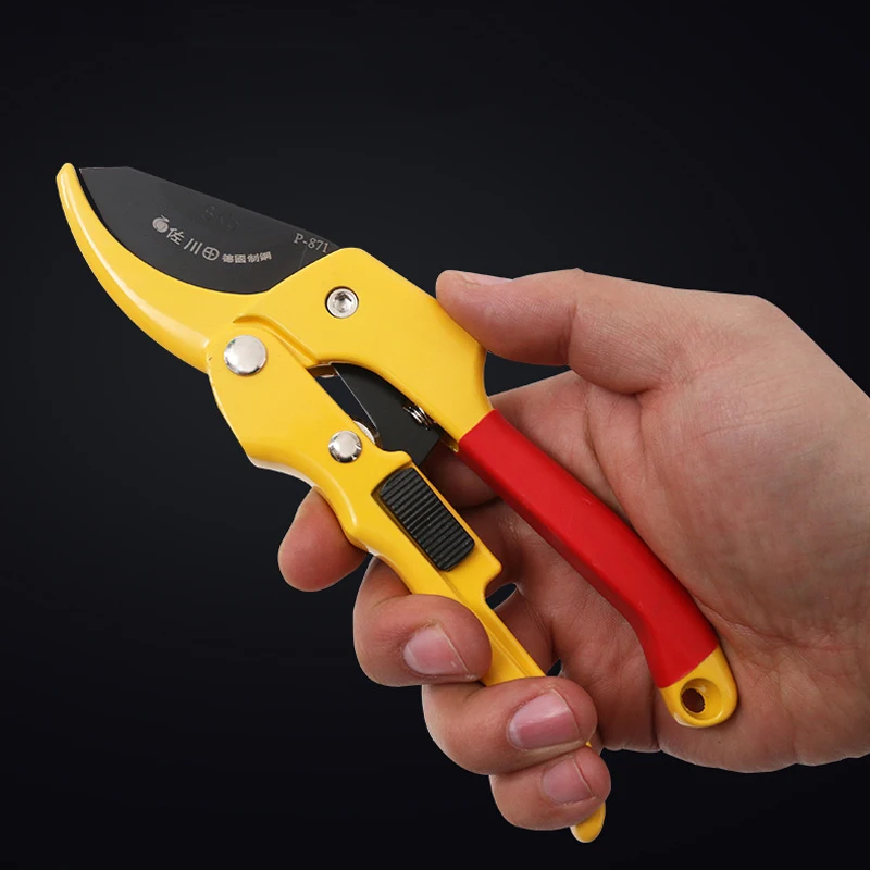 Garden Tools Garden Pruning Shears Plant Trim Horticulture Hand Pruner Shrub Garden Scissor Orchard Branch Shear Tools
Garden Tools Garden Pruning Shears Plant Trim Horticulture Hand Pruner Shrub Garden Scissor Orchard Branch Shear Tools