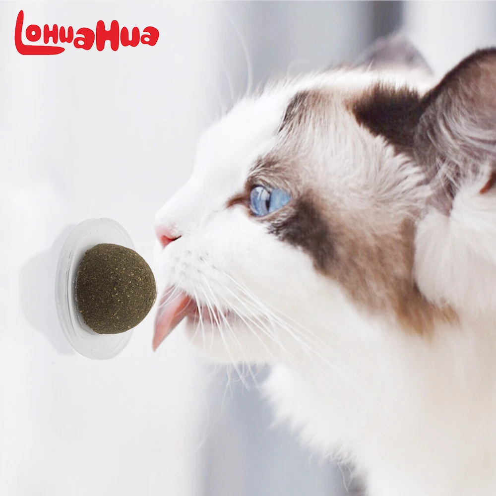 Natural Catnip Cat Toy Crazy Healthy Catmint Toys For Cats Kitten Kedi Cleaning Teeth Play Ball Cat Supplies Pet Products
Natural Catnip Cat Toy Crazy Healthy Catmint Toys For Cats Kitten Kedi Cleaning Teeth Play Ball Cat Supplies Pet Products