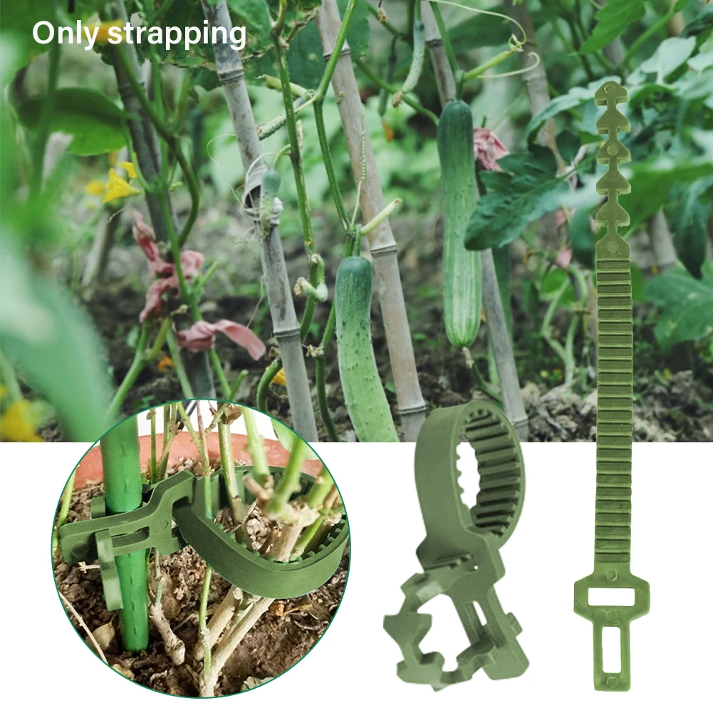 10pcs Easy Use Accessories Fixing Buckle Outdoor Durable Plastic Adjustable Length Garden Supplies Flower Flexible Plant Ties
10pcs Easy Use Accessories Fixing Buckle Outdoor Durable Plastic Adjustable Length Garden Supplies Flower Flexible Plant Ties