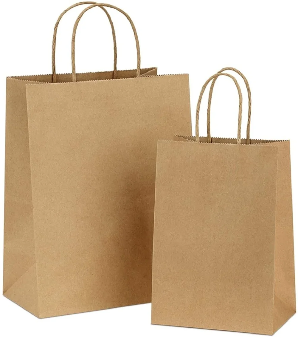 

15x8x21 Cm Kraft Paper Bags with Handles 10 PCS,Brown Gift Bags for Party Favors Grocery Retail Shopping Gift Bag Paper Bags
