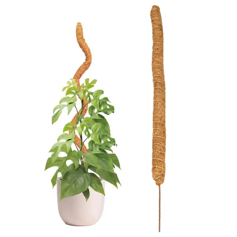Bendable Coco Coir Moss Pole 4 Sizes Natural Moss Pole Plant Support Stick For Climbing Plants Train Monstera Philodendron
Bendable Coco Coir Moss Pole 4 Sizes Natural Moss Pole Plant Support Stick For Climbing Plants Train Monstera Philodendron