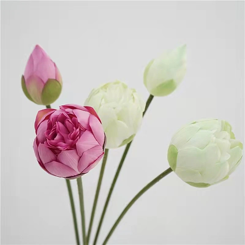 5 Pieces Aritificial Fake Flower Big Lotus Living Room Coffee Table Desktop For Buddha Lotus Decoration Ornament
5 Pieces Aritificial Fake Flower Big Lotus Living Room Coffee Table Desktop For Buddha Lotus Decoration Ornament