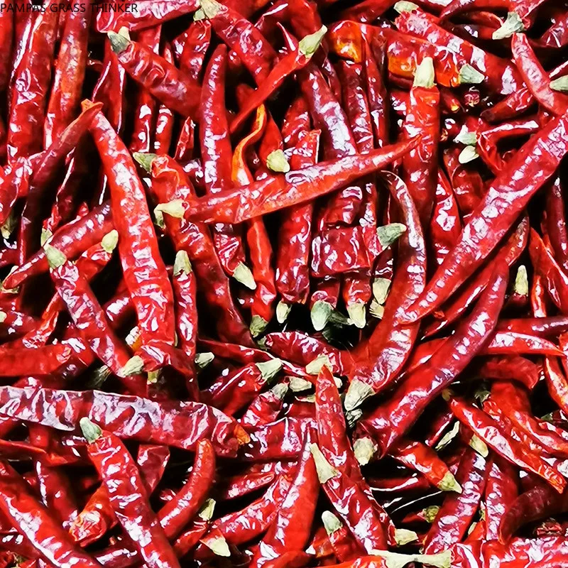 200g Dried chili pure natural bonsai sichun chilli pepper Free shippoing 2020 New hot pepper
200g Dried chili pure natural bonsai sichun chilli pepper Free shippoing 2020 New hot pepper