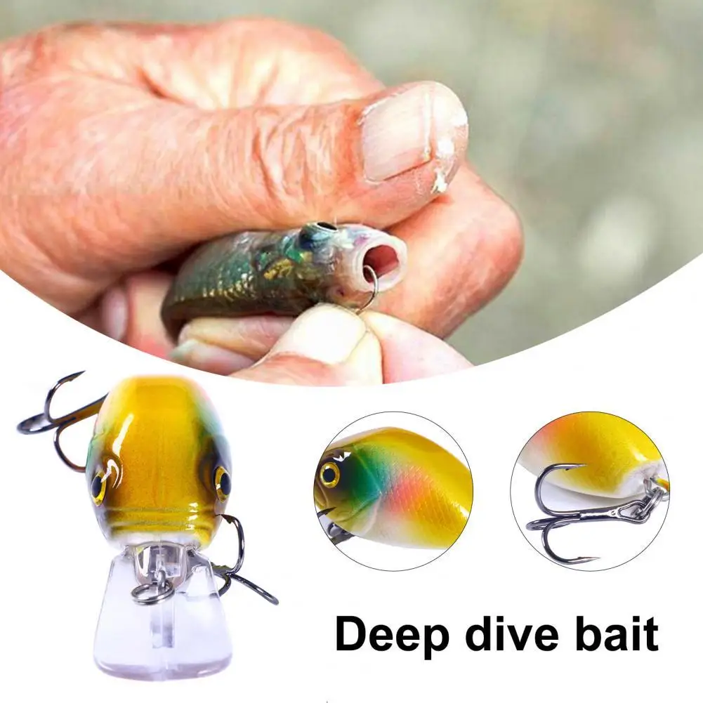 Sturdy Fishing Bait 3D Fish Eyes Hard Fishing Lure Bait Useful Durable Fishing Bait for Fishing Lovers Chubby Fake Bait
Sturdy Fishing Bait 3D Fish Eyes Hard Fishing Lure Bait Useful Durable Fishing Bait for Fishing Lovers Chubby Fake Bait