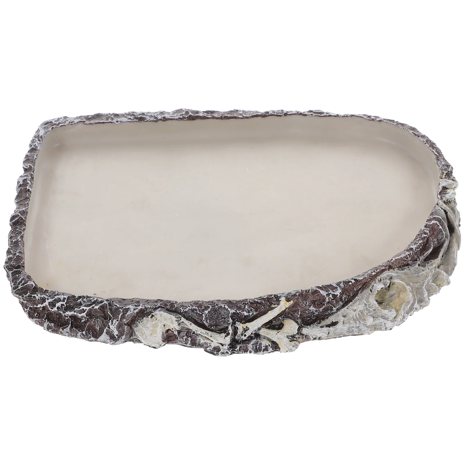 Reptile Dish Bowl Water Feeding Gecko Bearded Dragon Tortoise Feeder Shallow Corner Mealworm Terraium Amphibian Dispenser
Reptile Dish Bowl Water Feeding Gecko Bearded Dragon Tortoise Feeder Shallow Corner Mealworm Terraium Amphibian Dispenser