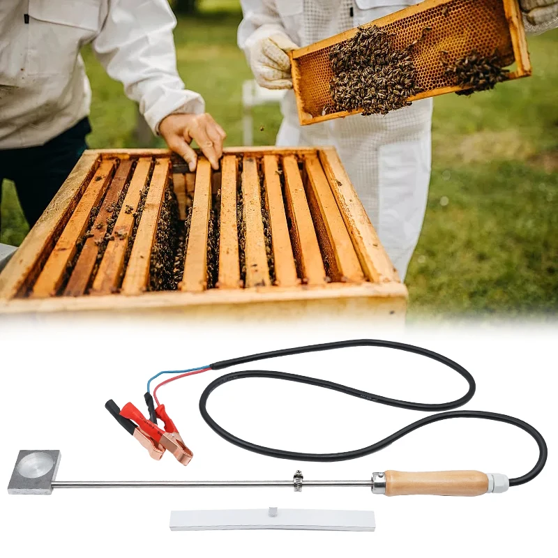 Пчелиный испаритель, пчелиный испаритель Varroa Mites, обработка, испаритель с кислотой оксалиновой кислоты, пчеловодка, улей, фумигация, принадлежности для пчеловодства
Пчелиный испаритель, пчелиный испаритель Varroa Mites, обработка, испаритель с кислотой оксалиновой кислоты, пчеловодка, улей, фумигация, принадлежности для пчеловодства