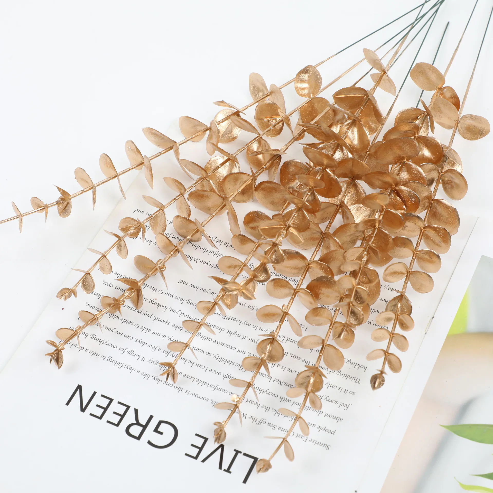 50pcs Artificial Flowers Eucalyptus Bucket Single Golden Eucalyptus Wedding Home Decoration Plastic Luna for Christmas Flowers
50pcs Artificial Flowers Eucalyptus Bucket Single Golden Eucalyptus Wedding Home Decoration Plastic Luna for Christmas Flowers
