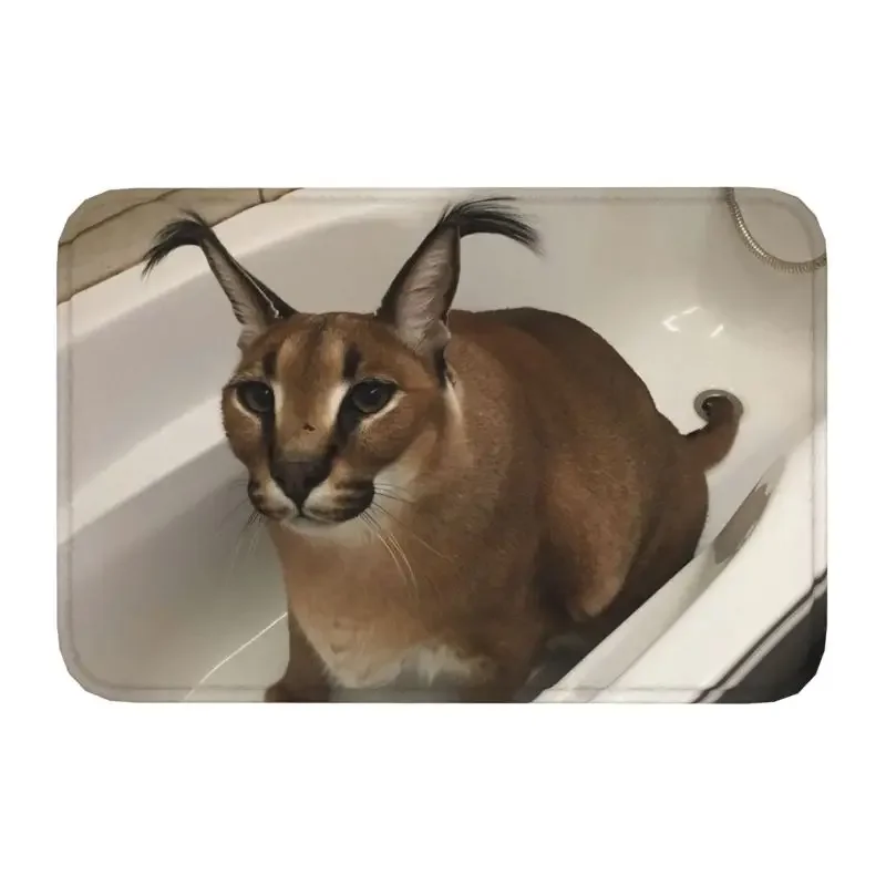 Custom Big Floppa Cute Meme Doormat Non-Slip Entrance Kitchen Bathroom Floor Door Mat Bathtub Toilet Carpet Rug
Custom Big Floppa Cute Meme Doormat Non-Slip Entrance Kitchen Bathroom Floor Door Mat Bathtub Toilet Carpet Rug