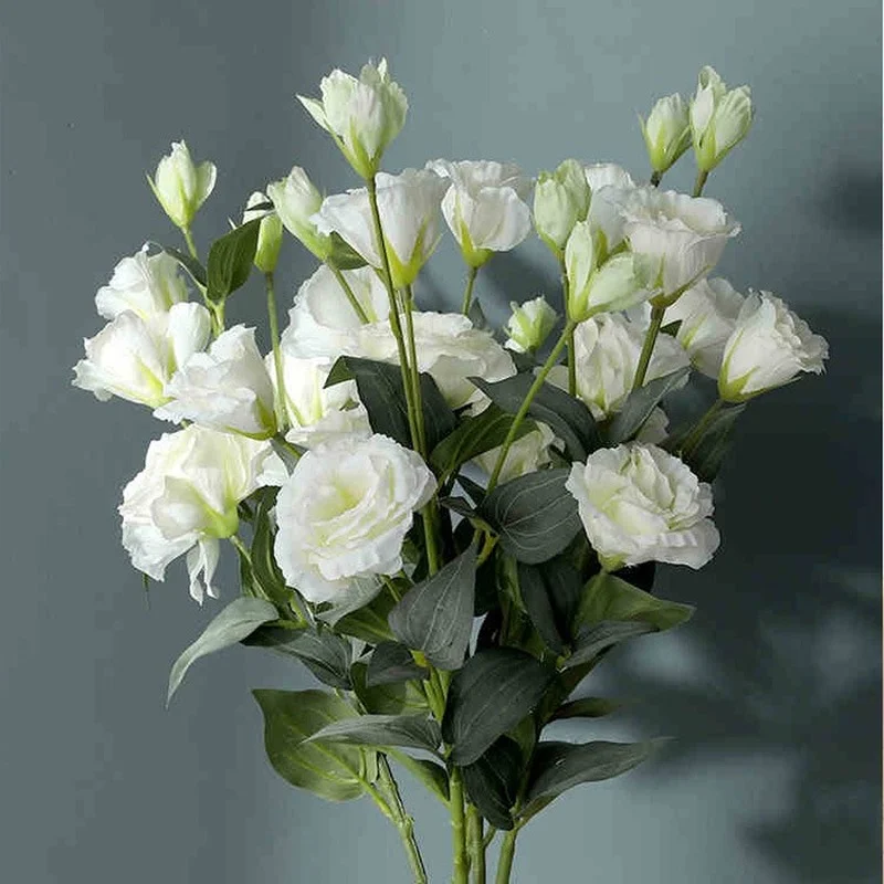 4 Heads Eustoma Artificial Flowers Home Decoration Accessories Lisianthus Fake Flower Bouquet Wedding Hotel Office Decor
4 Heads Eustoma Artificial Flowers Home Decoration Accessories Lisianthus Fake Flower Bouquet Wedding Hotel Office Decor