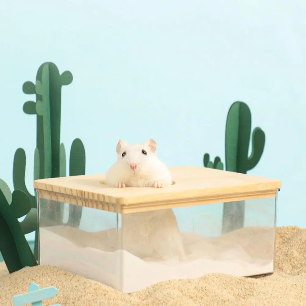 Hamster Transparent Acrylic Sand Bathroom Litter Sand Box Bath Container Supplies For Squirrels Guinea Pigs
Hamster Transparent Acrylic Sand Bathroom Litter Sand Box Bath Container Supplies For Squirrels Guinea Pigs