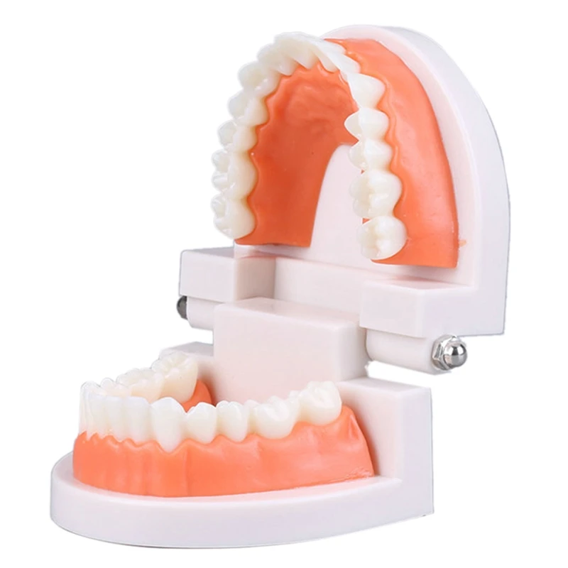 Educational Toys For Children Early Learning Kids Intelligence Brushing Tooth Teaching Aids Simulated
Educational Toys For Children Early Learning Kids Intelligence Brushing Tooth Teaching Aids Simulated