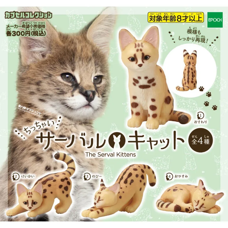 Japan Genuine Gashapon Capsule Toy Epoch Zoo Large African Feline Caracal Table Ornaments Miniature Model Gifts for Children
Japan Genuine Gashapon Capsule Toy Epoch Zoo Large African Feline Caracal Table Ornaments Miniature Model Gifts for Children