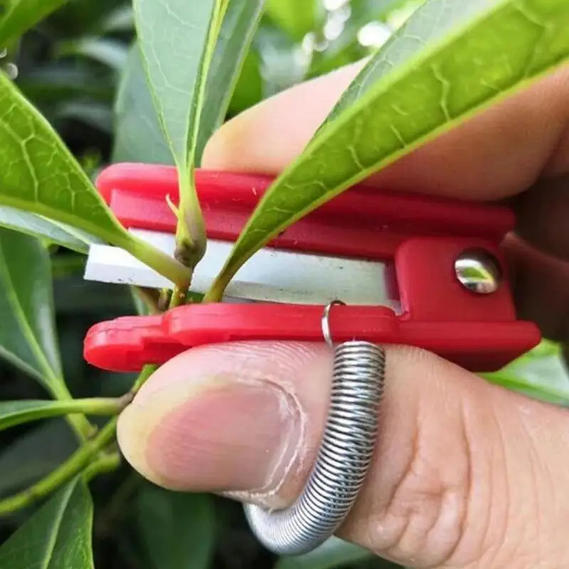 Multifunction Thumb Knife Garden Pruner Fruit Picking Device Safe Fruit Blade Tool Cutting Blade Rings Finger Protector Catcher
Multifunction Thumb Knife Garden Pruner Fruit Picking Device Safe Fruit Blade Tool Cutting Blade Rings Finger Protector Catcher